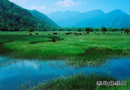 决胜之年，中央政府拿出多少真金白银支持地方治污？