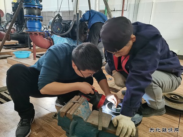 蒲白白水社区：职场“菜鸟”成长记
