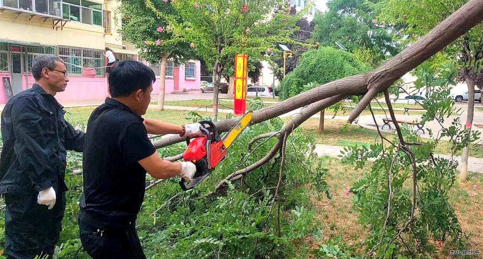 蒲白中心社区：狂风暴雨过后社区人在干什么