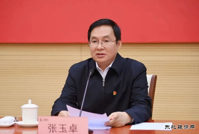 张玉卓：强化国有资本对电网等领域投入