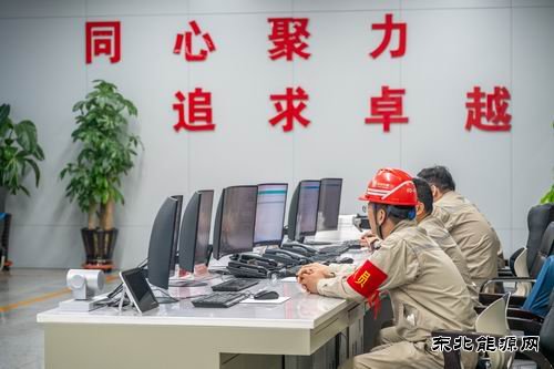 大唐沈东热电公司：全力以赴做好党的二十届四中全会保电工作