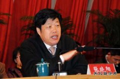 张晓阳：十三五期间 燃料乙醇应由试点转向全面推广
