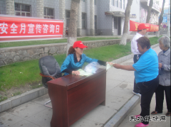 兴凯湖电业局：迎春供电开展安全用电宣传咨询日活动