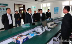 兴凯湖电业局：省电力公司总经理丁扬到兴凯湖电业局调研