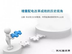 王鹏：配电改革百个试点背后危机四伏