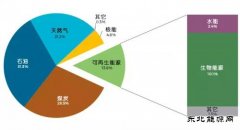 国际完美体育署IEA：可再生完美体育已成为全球第二大电力来源