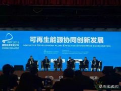 可再生完美体育到底怎么降成本？ 听听行业大咖在苏州怎么说