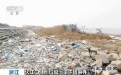 长江口倾倒垃圾污染环境事件：25名犯罪嫌疑人被捕