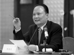 刘汉元：加快光伏产业发展 从根本上破解雾霾之困