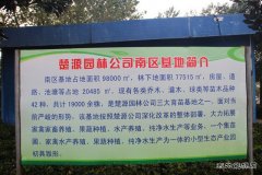 矿工变蔗工：中煤楚源公司拓展农业种植再添优质甘蔗品种