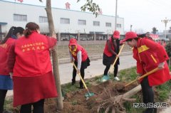 太康县供电公司：志愿服务播新绿