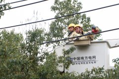 凯供城区分局：清树障保安全助降损