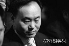 中国光伏“教父”欲华丽回归？