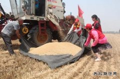太康县供电公司：走进贫困家庭助麦收
