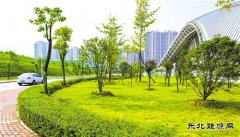 [推动中国]宝武集团：从“绿色制造”到“制造绿色”