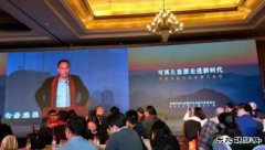 秦海岩：分散式风电搞不起来，风电就没有未来！