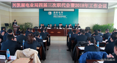兴凯湖电业局：召开四届三次职代会暨2018年工作会议