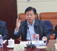 中石油董事长王宜林：努力把世界上性价比最高的气供应给中国老百