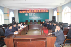 兴凯湖电业局：陈殿军局长参加东海供电主题安全日活动