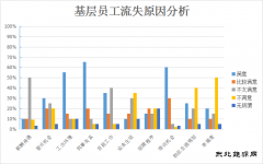 青年员工，怎样才能留住你？——基层青年员工流失原因分析及对策