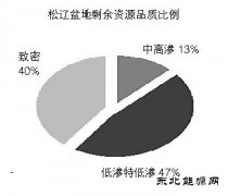 松辽盆地：迈向非常规新时代