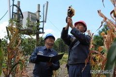 凯供城区分局：高温袭来 采取服务“加减法”应对“夏烤”