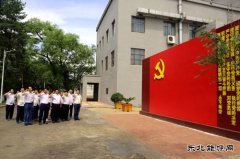 佳木斯供电公司开展“做好先行官、架起连心桥”主题党日活动