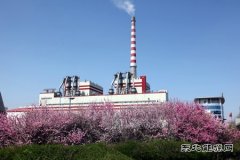 鸡西热电公司：回眸征程 逐梦百年