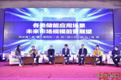 关于2019年中国储能市场走势，听听专家怎么说？