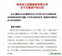 1元收购，背负18亿债务！谁将接盘国电电力？