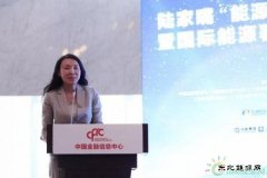 金淑萍：集众智合众力 中国海油创新助力天然气产业健康发展