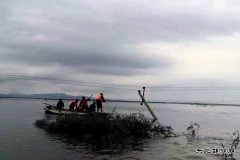 通河供电公司：抗洪抢险保供电 风雨无阻电力人