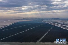 浙江省内最大规：Ｍ抗夥⒌缦钅空酵对