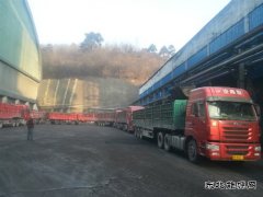 蒲白建庄矿业：日销量创新高 年度强势开局
