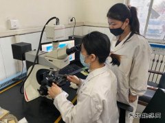 潞安焦化：用“匠心精神”打造“硬品牌”