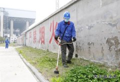 蒲洲热电：绿化厂区保安全