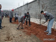 潞安焦化：组织全员开展春季植树活动
