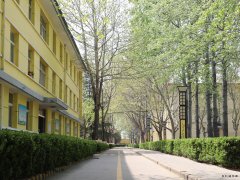 蒲白西固煤业：把“小家碧玉”打扮成“大家闺秀”促煤炭销售