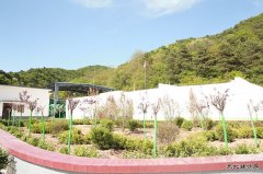 建新煤化：制氮通风搬“新家” 花园风井美如画