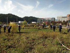 蒲白建庄矿业：开展矿区绿化打造美丽矿山
