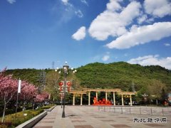 铜川矿业下石节矿：文明花开香满矿山