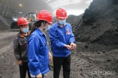 漳电蒲洲热电公司：抓住燃料管理“牛鼻子”