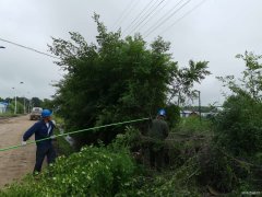 兴凯湖电业公司：盛夏全面清理树障 确保迎峰度夏、防汛安全供电
