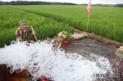 黑龙江兴凯湖电业公司：机井通电扶贫工程让农民走上幸福小康路