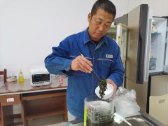 大兴安岭供电公司：电网大叔变身节约达人