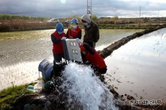 兴凯湖电业公司：电满黑土地 红红火火庆丰收