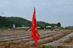 技校联合党委：党员亮身份树形象 争创五星“安全示范岗”