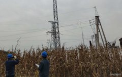 国网大庆供电公司：大同区老百姓用电终于有了“双保险”