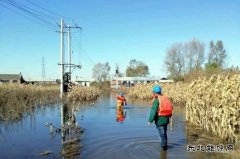 佳木斯供电公司：全力巡检线路设备，柳树岛全面恢复供电
