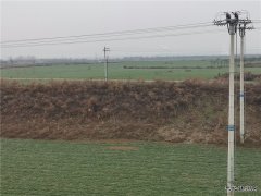 蒲白铁运公司：窗外那一片柔绿